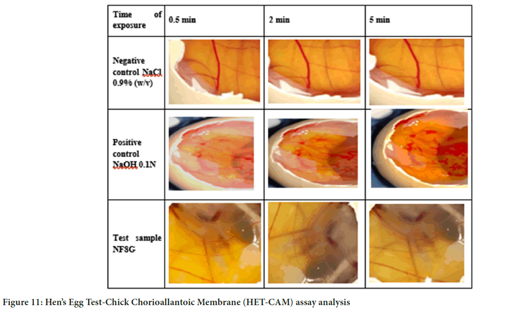 Chorioallantoic