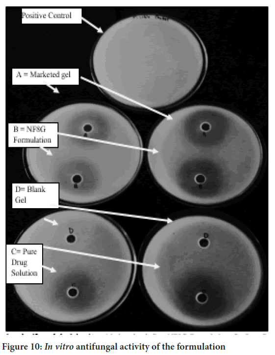 antifungal