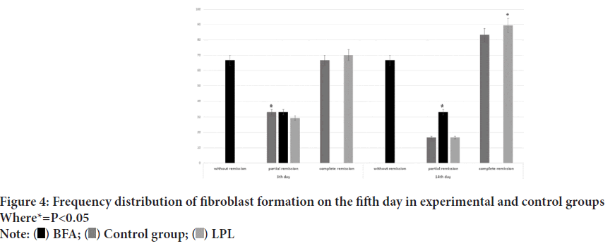 fibroblast