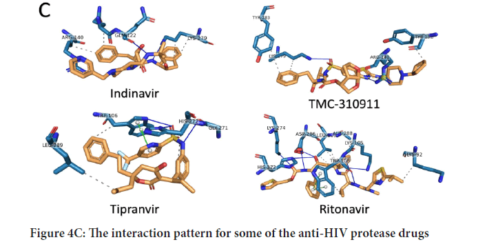 sys-rev-protease