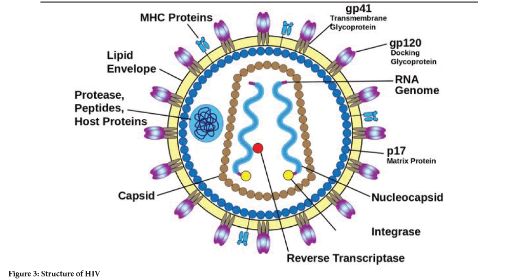 Sysrevpharm-diagram-HIV