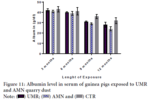 Albumin