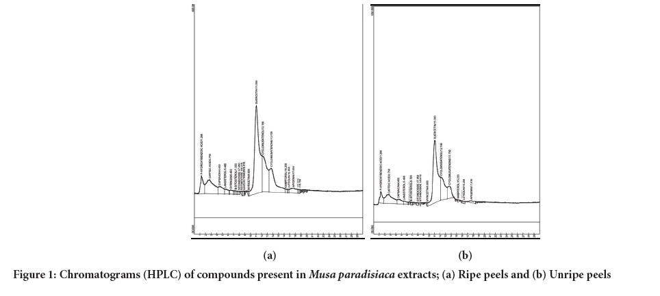 Chromatograms