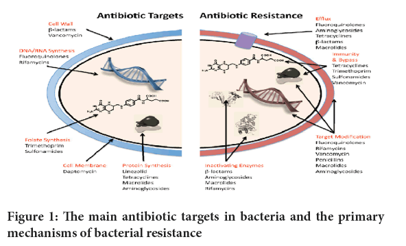 antibiotic