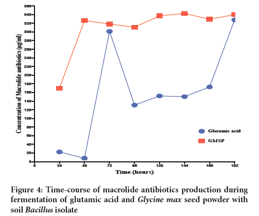 macrolide